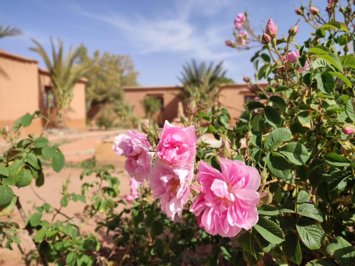 Maison D'Hotes Tigminou - Adults Only Ait Benhaddou Exterior photo